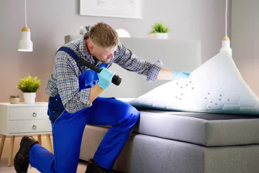 Bedbug Control Campbellfield