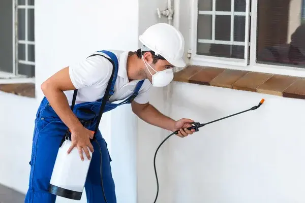 Pest Control Campbellfield